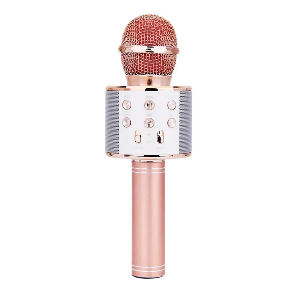 KTV Wireless Microphone