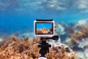 the best underwater cameras for fishing